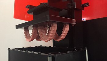 Dental models pulled from our 3D printer